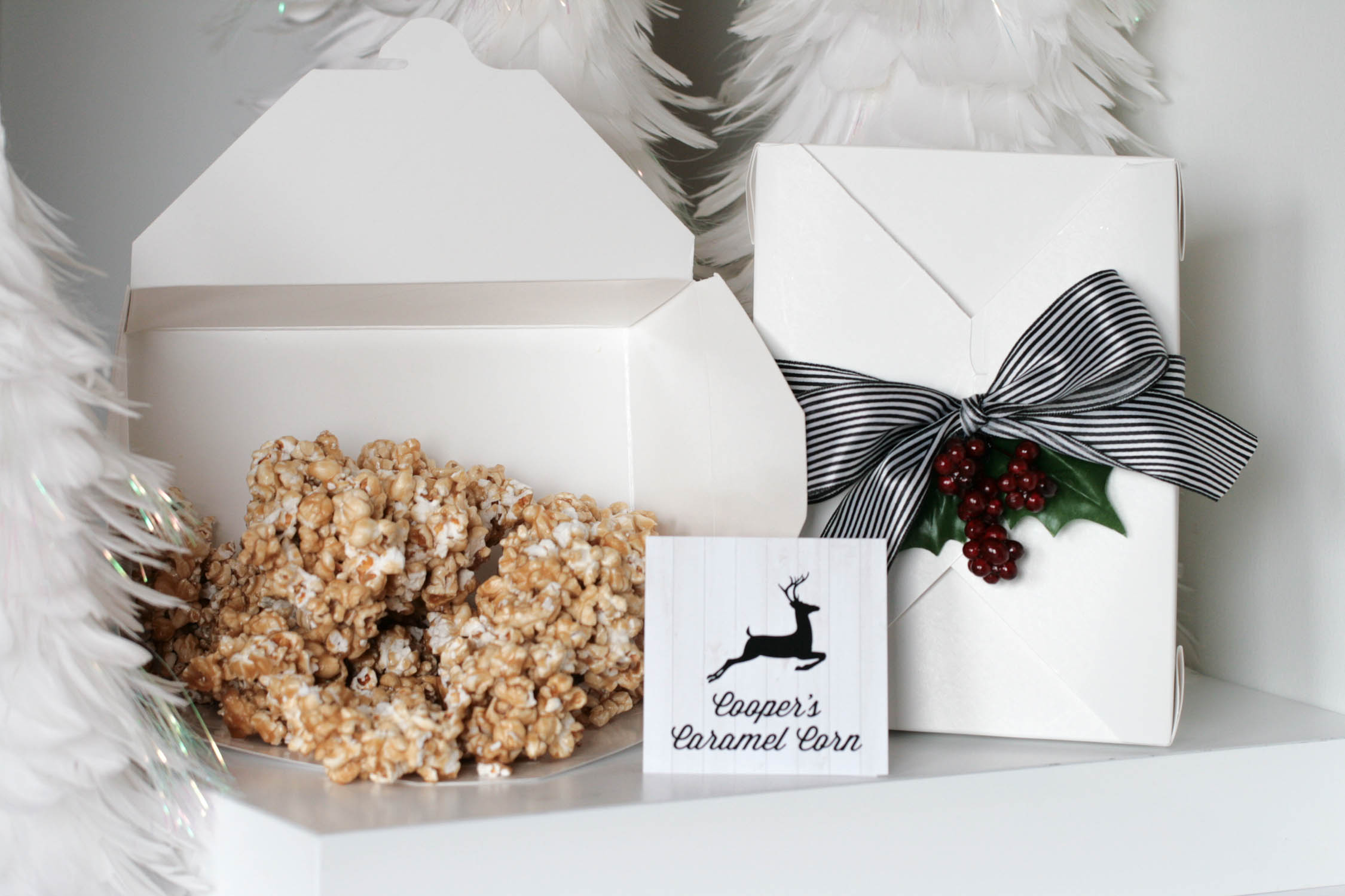 tomkat holiday packaging-8