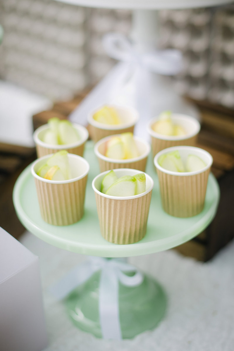 View More: http://jonathangibsonphotography.pass.us/christina-easter