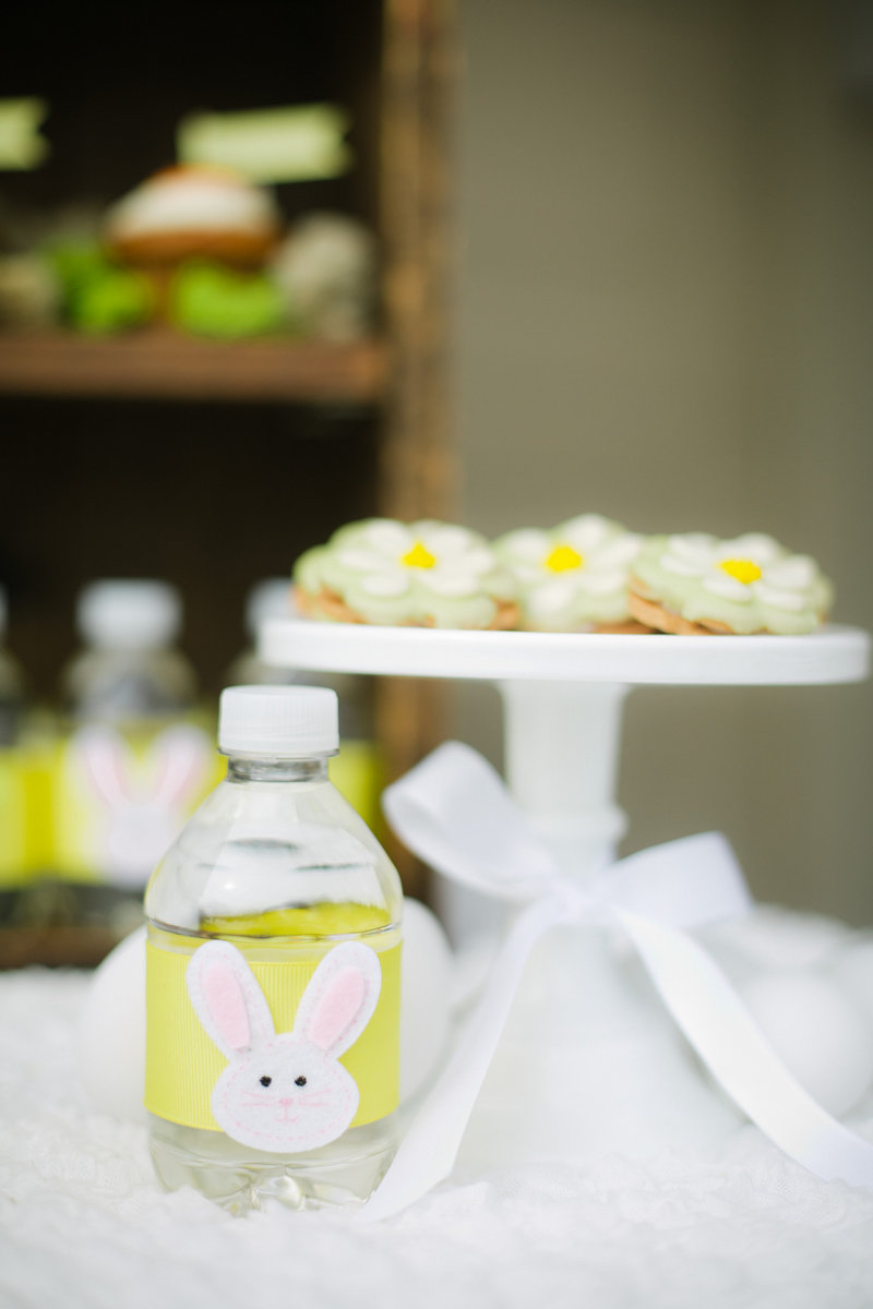 View More: http://jonathangibsonphotography.pass.us/christina-easter