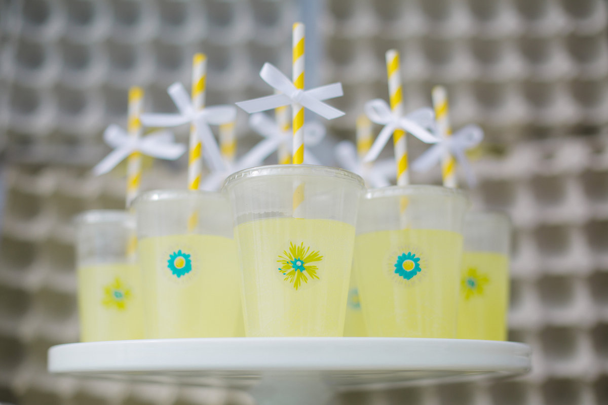 View More: http://jonathangibsonphotography.pass.us/christina-easter