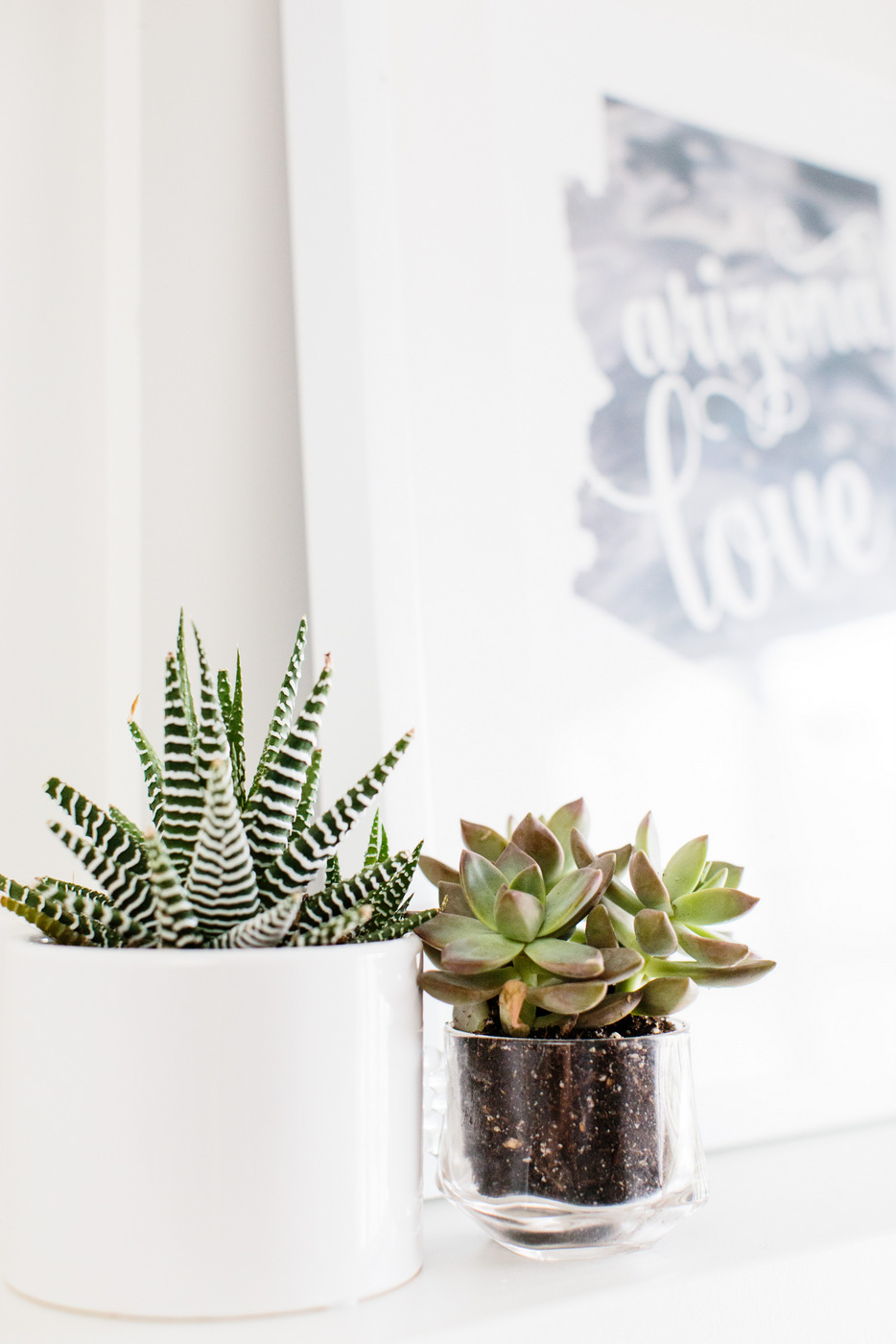 arizona_love_art_print_3