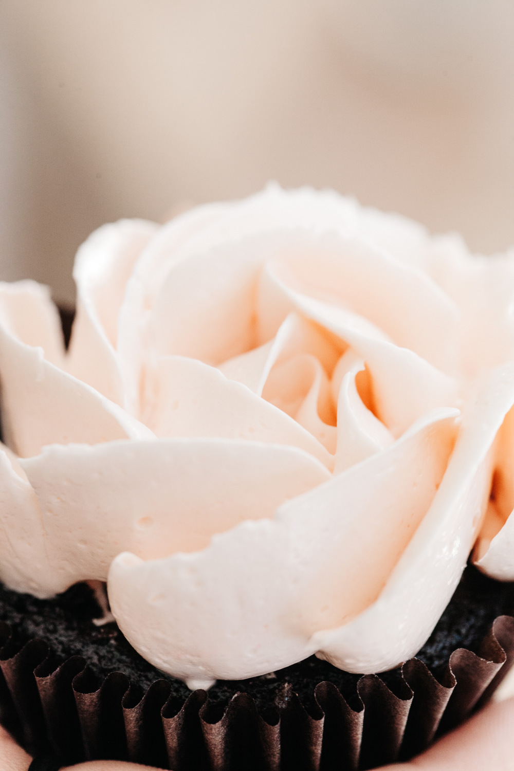 ruze_cake_house_teapressa_7
